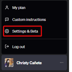 ChatGPT profile settings