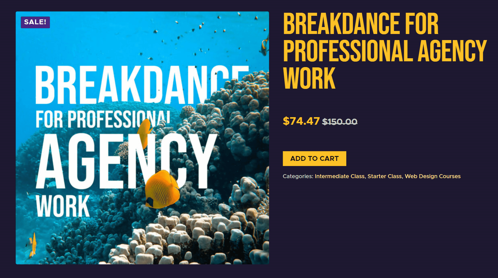 PK Breakdance Builder For Agency Work Course